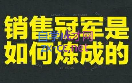 林林老师·成为外贸销售冠军课-AI网创
