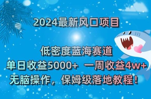 2024最新风口项目，低密度蓝海赛道，单日收益5000+，一周收益4w+！【揭秘】-AI网创