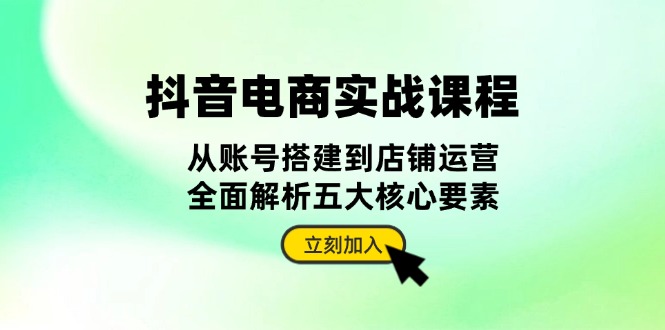 抖音 电商实战课程：从账号搭建到店铺运营，全面解析五大核心要素-AI网创