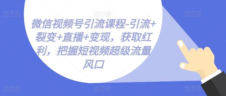 微信视频号引流课程-引流+裂变+直播+变现，获取红利，把握短视频超级流量风口-AI网创