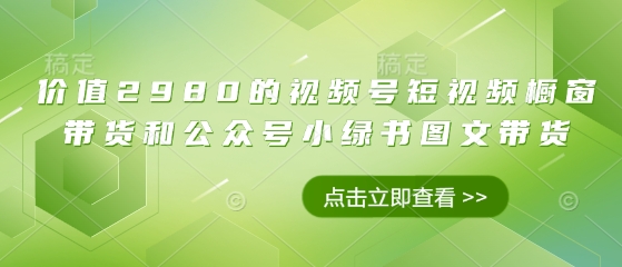 价值2980的视频号短视频橱窗带货和公众号小绿书图文带货-AI网创