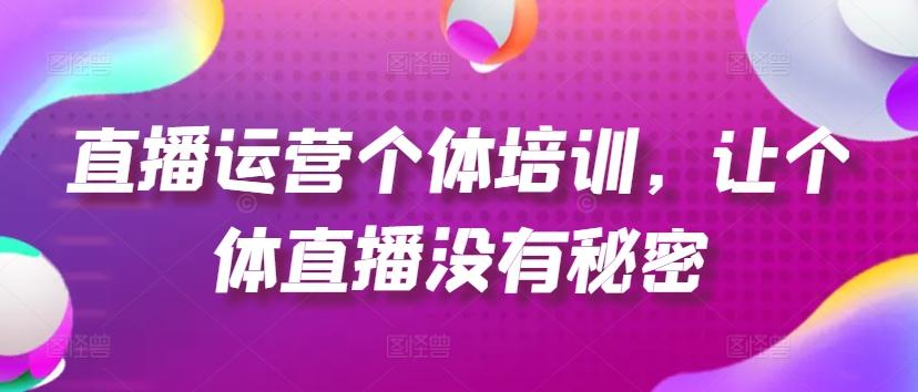 直播运营个体培训，让个体直播没有秘密，起号、货源、单品打爆、投流等玩法-AI网创