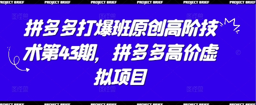 拼多多打爆班原创高阶技术第43期，拼多多高价虚拟项目-AI网创