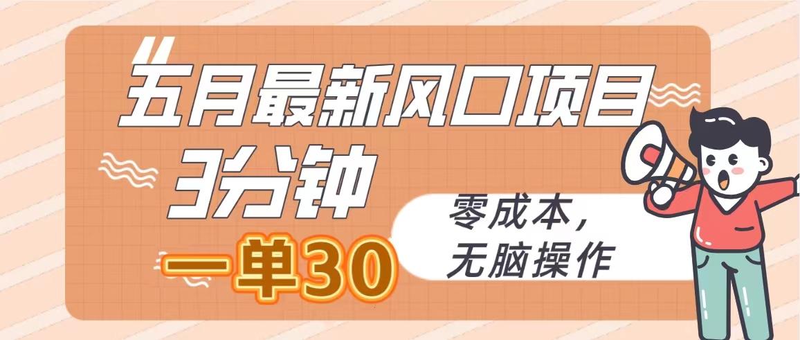 五月最新风口项目，3分钟一单30，零成本，无脑操作-AI网创