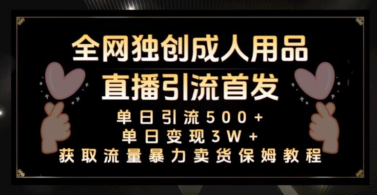 全网独创真人主播+无人直播单日引流500+，橙人用品暴力卖货单日变现3W+保姆似教学2.0【揭秘】-AI网创