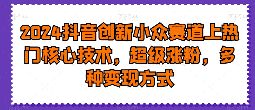 2024抖音创新小众赛道上热门核心技术，超级涨粉，多种变现方式【揭秘】-AI网创
