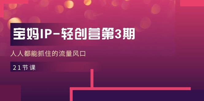 宝妈IP-轻创营第3期，人人都能抓住的流量风口(21节课-AI网创