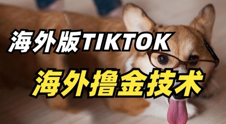 抖音海外版tiktok撸金技术，这个风口行业，赚钱真的不难【揭秘】-AI网创