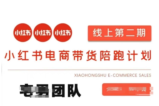 小红书电商带货课2期，月利润20个的小红书电商的有货源，无货源，虚拟产品，付费投流等整套玩法-AI网创