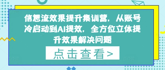 信息流效果提升集训营，从账号冷启动到AI提效，全方位立体提升效果解决问题-AI网创