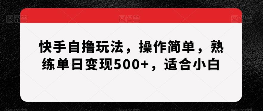 快手自撸玩法，操作简单，熟练单日变现500+，适合小白【揭秘】-AI网创