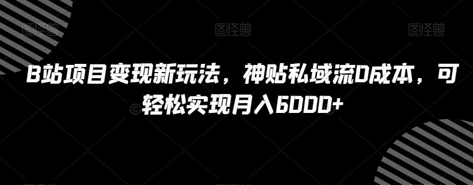 B站项目变现新玩法，神贴私域流0成本，可轻松实现月入6000+【揭秘】-AI网创