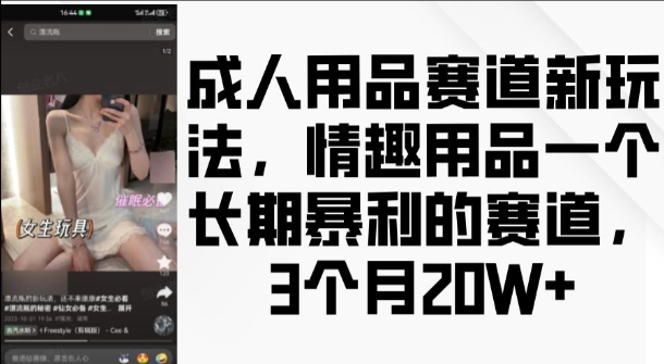 成人用品赛道新玩法，情趣用品一个长期暴利的赛道，3个月收益20个【揭秘】-AI网创