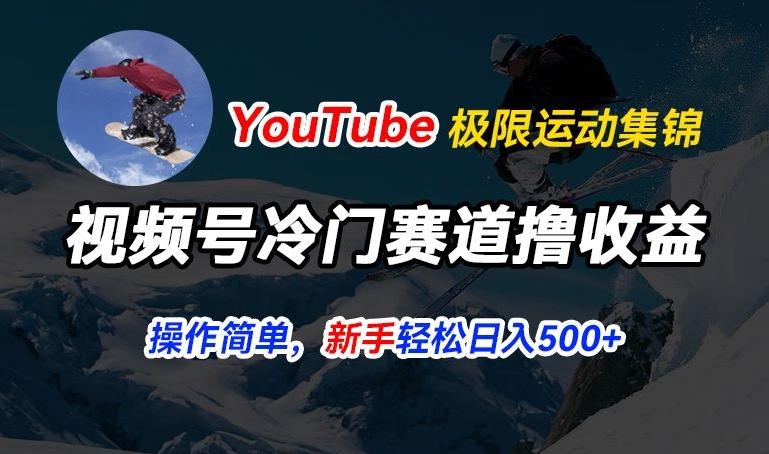 视频号冷门赛道撸收益，YouTube搬运极限运动集锦，暴力起号，操作简单流量高，轻松日入5张【揭秘】-AI网创