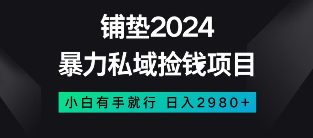 暴力私域捡钱项目，小白无脑操作，日入2980【揭秘】-AI网创