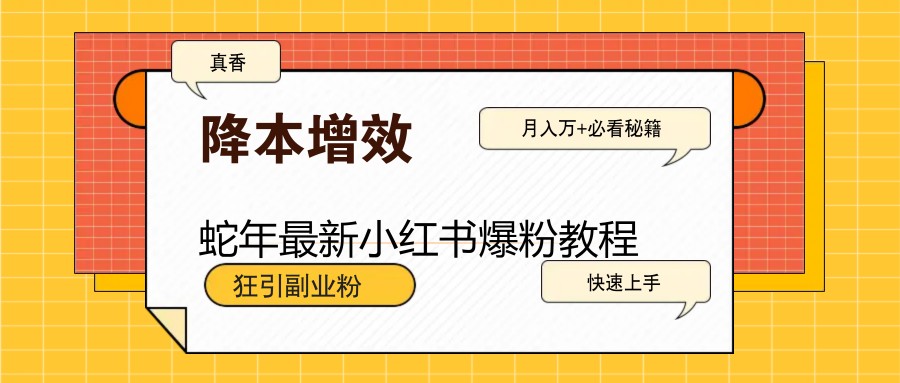 蛇年最新小红书爆粉教程，狂引副业粉，月入万+必看-AI网创