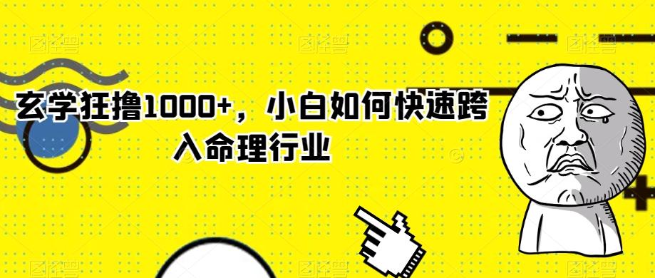 玄学狂撸1000+，小白如何快速跨入命理行业-AI网创