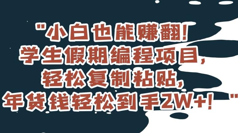 小白也能赚翻！学生假期编程项目，轻松复制粘贴，年货钱轻松到手2W+【揭秘】-AI网创