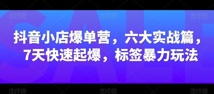 抖音小店爆单营，六大实战篇，7天快速起爆，标签暴力玩法-AI网创