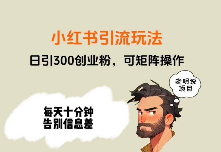 靠小红书视频日印300粉，两分钟一个视频轻松矩阵-AI网创