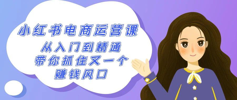 2024小红书-电商运营课，从入门到精通，带你抓住又一个赚钱风口(50节课)-AI网创