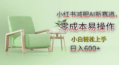 小红书减肥AI新赛道，零成本易操作，日入多张，小白轻松上手【揭秘】-AI网创