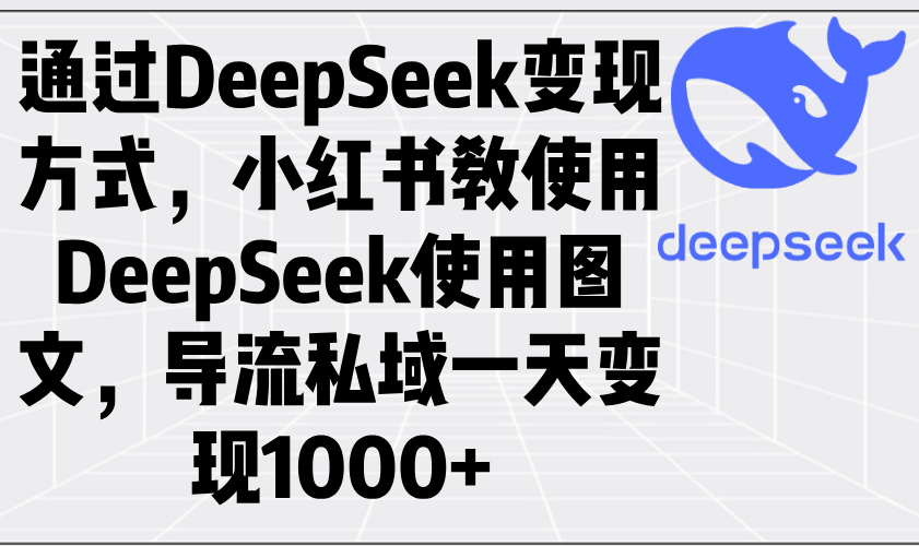 通过DeepSeek变现方式，小红书教使用DeepSeek图文，导流私域一天变现1000+-AI网创