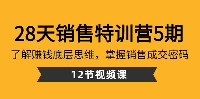 28天销售特训营5期：了解赚钱底层思维，掌握销售成交密码（12节课）-AI网创