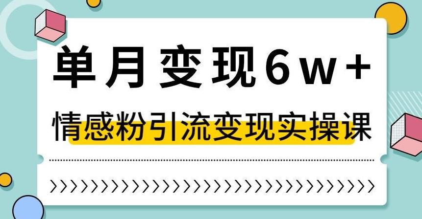 单月变现6W+，抖音情感粉引流变现实操课，小白可做，轻松上手，独家赛道【揭秘】-AI网创