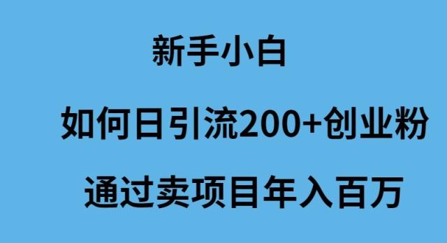 (9668期)新手小白如何日引流200+创业粉通过卖项目年入百万-AI网创