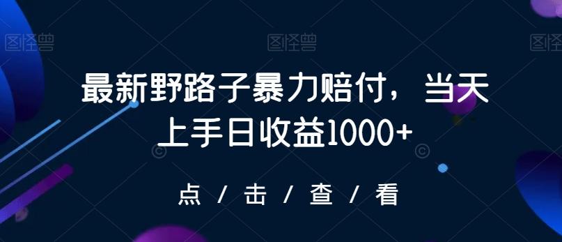 最新野路子暴力赔付，当天上手日收益1000+【仅揭秘】-AI网创
