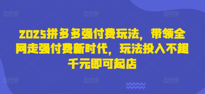 2025拼多多强付费玩法，带领全网走强付费新时代，玩法投入不超千元即可起店-AI网创