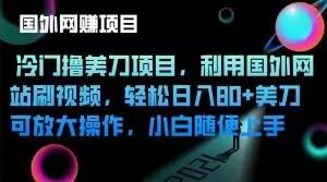 冷门撸美刀项目，利用国外网站刷视频，轻松日入80+美刀，可放大操作，小白随便上手-AI网创
