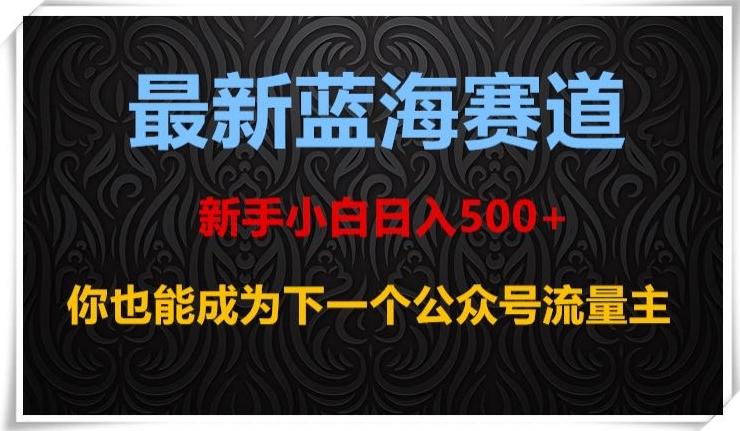 最新蓝海赛道，新手小白日入500+，你也能成为下一个公众号流量主【揭秘】-AI网创