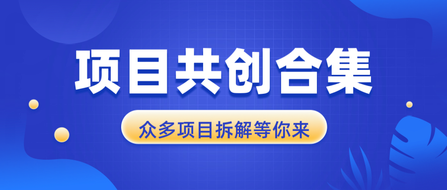 项目共创合集，从0-1全过程拆解，让你迅速找到适合自已的项目-AI网创