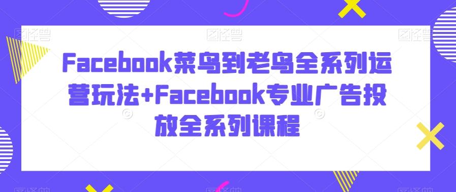 Facebook菜鸟到老鸟全系列运营玩法+Facebook专业广告投放全系列课程-AI网创