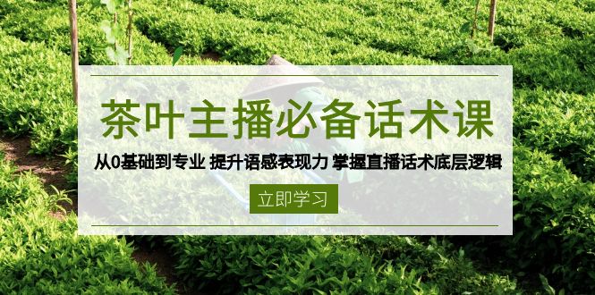 茶叶 主播必备话术课 从0基础到专业 提升语感表现力 掌握直播话术底层逻辑-AI网创