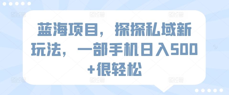 蓝海项目，探探私域新玩法，一部手机日入500+很轻松【揭秘】-AI网创