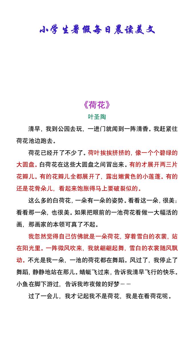 小学生暑假每日晨读美文：叶圣陶《荷花》-小升初语文-AI网创