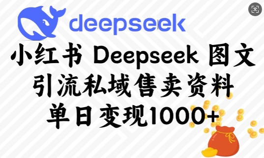 小红书Deepseek图文引流私域售卖资料，单日变现多张-AI网创