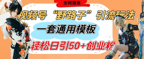 视频号“野路子”玩法，评论区疯狂截流，一套模板单日单号引流50+创业粉-AI网创
