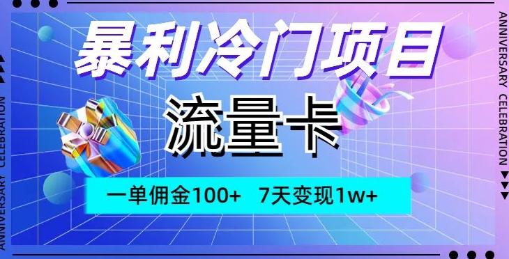 暴利冷门项目，流量卡，一单佣金100+，7天变现1w+-AI网创