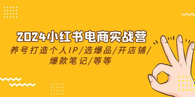 2024小红书电商实战营，养号打造IP/选爆品/开店铺/爆款笔记/等等(24节)-AI网创