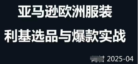 跨境电商选品案例24-25年，聚焦跨境电商选品策略与运营优化，助力卖家挖掘蓝海市场-AI网创
