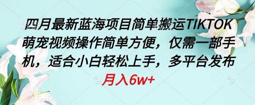 四月最新蓝海项目，简单搬运TIKTOK萌宠视频，操作简单方便，仅需一部手机【揭秘】-AI网创