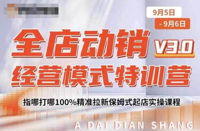全店动销经营模式特训营，指哪打哪100%精准拉新保姆式起店实操课程-AI网创