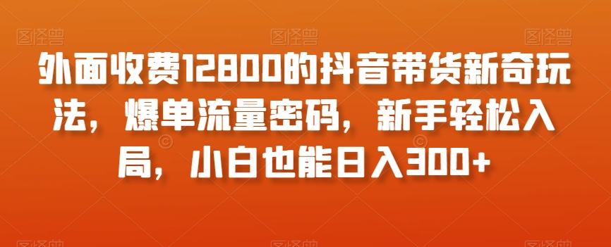 外面收费12800的抖音带货新奇玩法，爆单流量密码，新手轻松入局，小白也能日入300+【揭秘】-AI网创