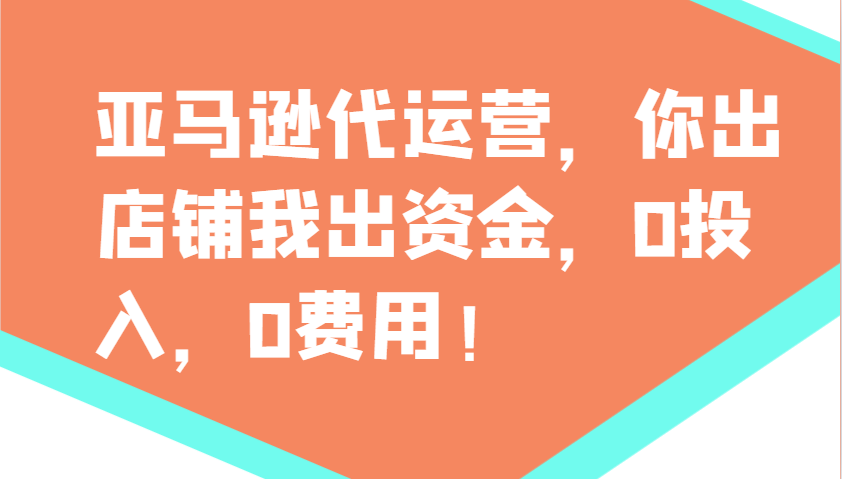 亚马逊代运营，你出店铺我出资金，0投入，0费用，无责任每天300分红，赢亏我承担-AI网创