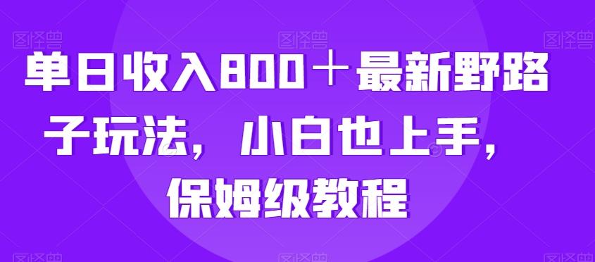 单日收入800＋最新野路子玩法，小白也上手，保姆级教程-AI网创