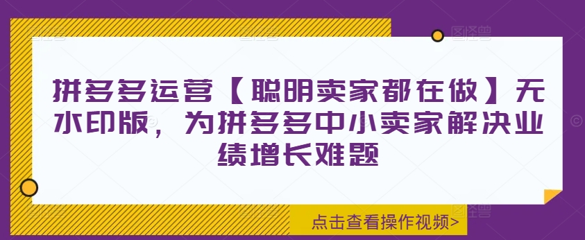 拼多多运营【聪明卖家都在做】无水印版，为拼多多中小卖家解决业绩增长难题-AI网创